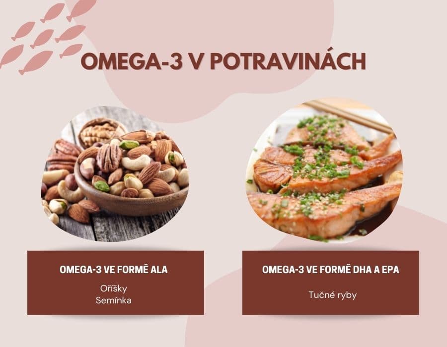 omega-3 v potravinách / omega 3 mastné kyseliny